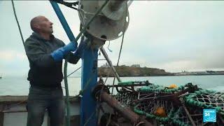 Guernsey issues 40 EU fishing licences amid France row • FRANCE 24 English