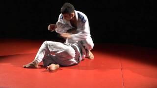 Evolve MMA | What is Brazilian Jiu-Jitsu?