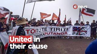 National hīkoi starts journey towards Parliament | 1News on TVNZ+