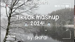 Tiktok mashup 2024!️