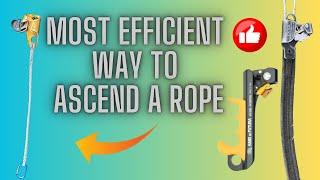 6 Ways to ASCEND a ROPE using SRT | Tree Climbing Techniques