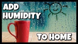 How To Add Humidity To Your Home  How To With Kristin