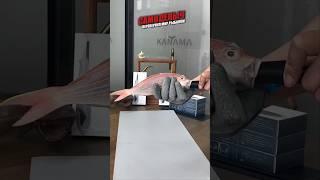 Необходимый гаджет для рыбака