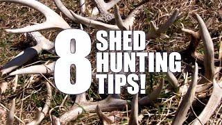 8 Tips How to Find More Shed Antlers