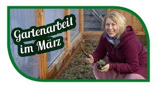 Wichtigsten Gartenarbeiten im März | säen und pflanzen im Freiland und Gewächshaus