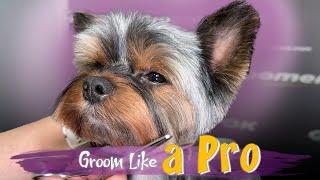 Yorkie Grooming Tutorial | Step-by-Step Yorkie Grooming Guide for Beautiful Haircuts | Watch Now!