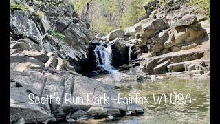 Virtual hikes in park - Scott's run park  - [ Fairfax VA USA Spring 2022 Footsteps]