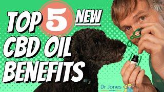 CBD Treatments for Pets: Top 5 Life-Changing Options