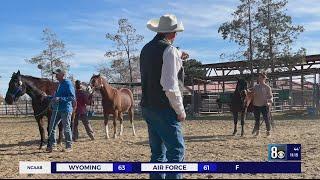 Horses4Heroes helping veterans heal with touch of a horse