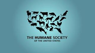 The Humane Society of the United States - Rescue Animals Now Commercial (2010) Short