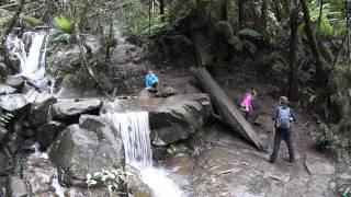 Hiking around the Olinda Falls, Mount Dandenong