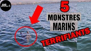 5 MONSTRES MARINS possiblement RÉELS - Épisode 1