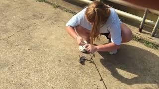 Spillway Fishing at Grenada Lake  Mississippi Southern Girls can do their own Fishing