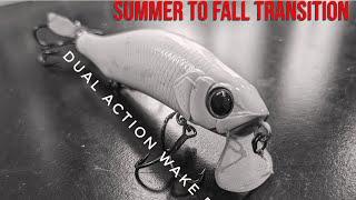 Best Late Summer Top water?!? Secret Wake Bait