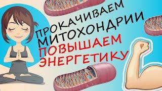 Как Зарядить Митохондрии и Повысить Энергию Организма