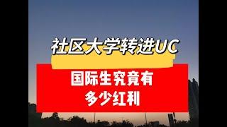 UC录取大揭秘：州内转学生优势真实还是谣传？国际生的机会到底有多大？