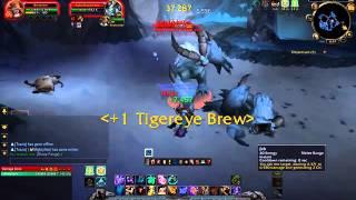 Fastest level 88-90 spot + MOP RARE ITEMS