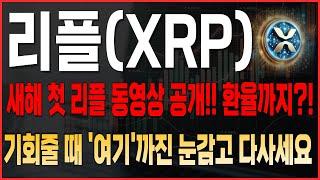 [리플 코인분석] 새해 첫 리플 동영상 공개!! 환율까지?! 기회 줄 때 '여기'까진 눈감고 다 사세요