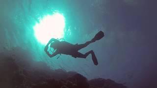 DIVEZONE. Рас-Мохаммед 2017