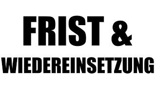 Frist und Wiedereinsetzung in den vorherigen Stand - Verfassungsbeschwerde 2.8