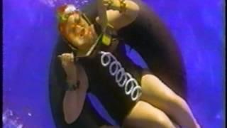 Hostess Cupcakes - Shark Commercial  - Where's the Cream Filling (1997)