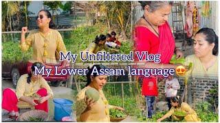 Fresh Daily vlog from Lower Assam // My home// Unfiltered vlog // Shout out to my subscribers