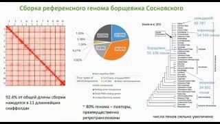 Мария Логачева - Встреча СтопБорщевик в Благосфере 3.12.2023