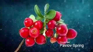 Спрей-концентрат Pavlov Spring