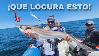 MIRAA, PESCA DE TIBURONES, SE NOS VENIAN LOS DELFINES, pesca en Santa Clara del mar, pesca Argentina