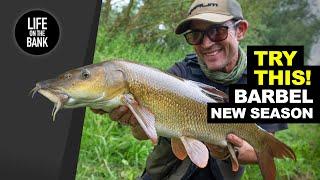 BARBEL FISHING TIPS - TRY THIS simple tactic on small rivers (new season 2023)