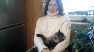 Переезд в деревню. Часть 2. Лесной хутор.