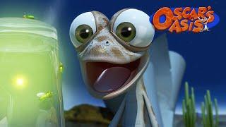 Oscar and the Fireflies  | Oscar’s Oasis | Funny Cartoons for Kids