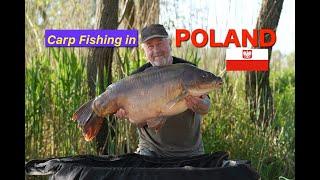 Carp fishing in Poland