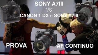 AF CONTINUO SONY A7 III Vs CANON 1 DX Vs SONY A7 II