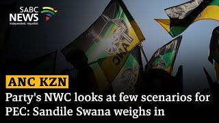 ANC KZN | Party's NWC looks at few scenarios for PEC: Sandile Swana weighs in