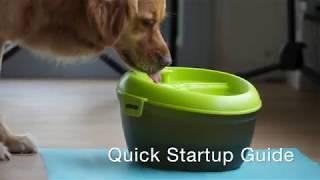 Dog H2O Quick Startup