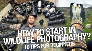 Wildlife Photography for Beginners - How to Start? 10 tips you should learn