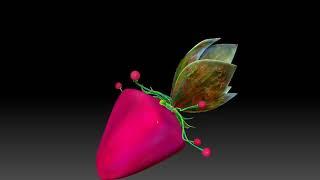 3D cosmic fruit "strawgranate"
