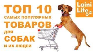 ТОП-10 товаров для собак