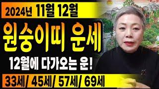 ⭐2024년 양력11월 12월 원숭이띠운세⭐대박! 좋은 일로 사람들한테 인사 받을 운세! 92년생, 80년생, 68년생, 56년생 원숭이띠운세 #서울점집 장안동 방울보살