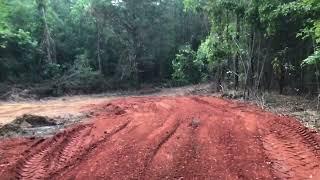 Process of Buying & Clearing Land in East Alabama for Off-Grid Container House Homestead