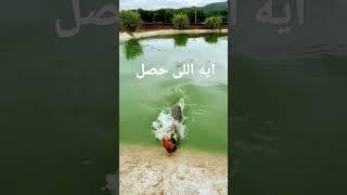 ايه اللى حصل ده