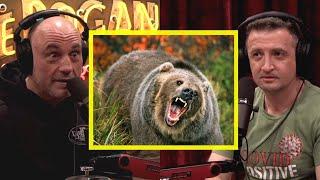 Joe Rogan: GRIZZLY Bears are MONSTERS!