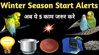 How To Care Budgies In Winter Season |  सर्दी का मौसम शुरू अब ये 5 काम जरुर करे | Birds Winter Care