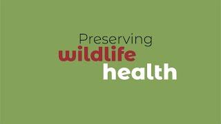 Preserving wildlife health