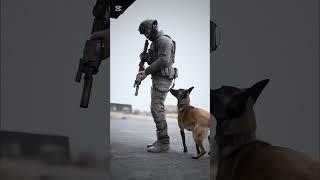 Amazing K9 Dogs training #k9 #dog #malinois #usa #doglover #dogsoftiktok #usa