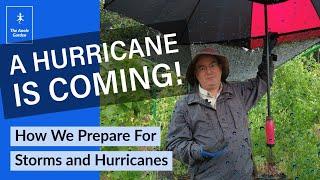 Storm and Hurricane Preparedness for the Garden