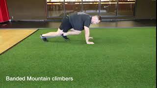 Banded mountain-climbers