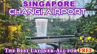 CHANGI AIRPORT SINGAPORE-The BEST Layover- And it's ALL for FREE