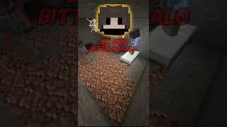 DİSTORTED BORALO BENİ ÖLDÜRDÜ @BoraLo  #boralo #keşfet #bobby1545 #minecraft